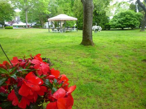 Giardino di Falmouth Heights Motor Lodge