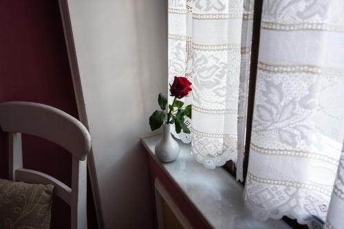 a red rose in a vase on a table next to a window at Boutique Hotel Anagennisis in Pýrgos