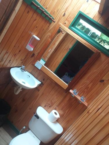 ein Badezimmer mit einem Waschbecken, einem WC und einem Spiegel in der Unterkunft Las Cataratas Lodge in San Gerardo de Dota