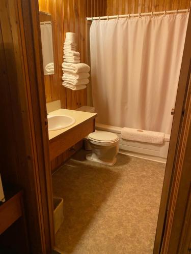 a bathroom with a toilet and a sink and a shower at Glacier View Inn in Haines Junction