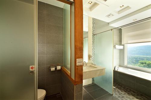 a bathroom with a toilet and a sink and a window at Shangrila Leisure Farm in Dongshan