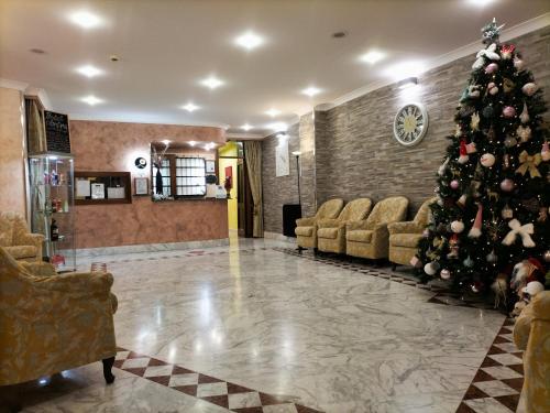 Hotel Elvira Fiuggi tesisinde lobi veya resepsiyon alanı