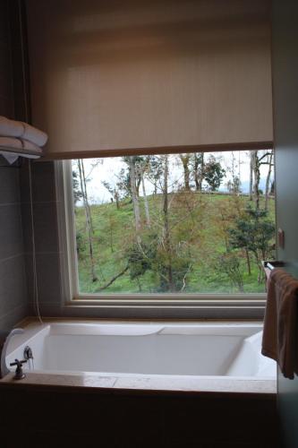 a bath tub in a bathroom with a window at Shangrila Leisure Farm in Dongshan