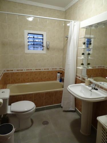 y baño con aseo, lavabo y bañera. en Casasjerezanas VistaFlor, en Jerez de la Frontera