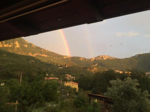 Gallery image of Affittacamere L’ Agrumeto in Maratea