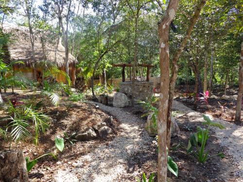 Gallery image of Casa Mango in Tulum