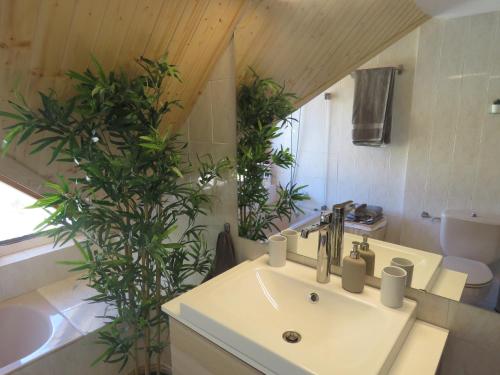 a bathroom with a sink and some plants at Ático Dúplex reformado con vistas a la montaña in Canfranc-Estación