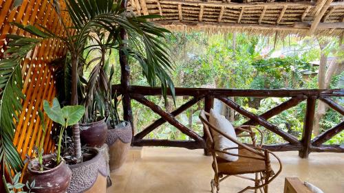 a room with potted plants and a chair and a window at Atii Garden Bungalows in Nungwi