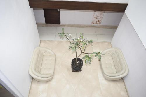 a plant in a pot sitting between two toilets at The Hamuse Hotel Kodaikanal - Luxury Redefined in Kodaikānāl