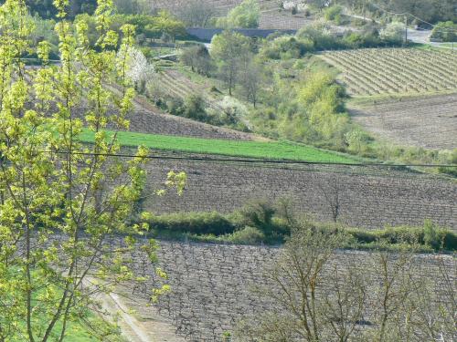 an irrigated field with trees and grass on a hill at La Magnanerie de Fontfreyde in Gras