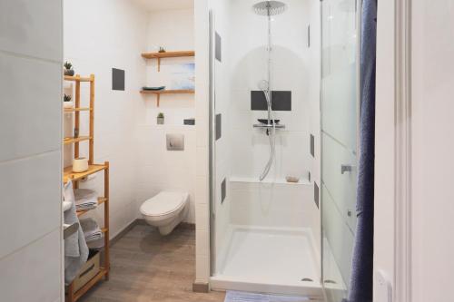 a bathroom with a shower and a toilet at nid2nuit Nuance d'Ocres in Apt