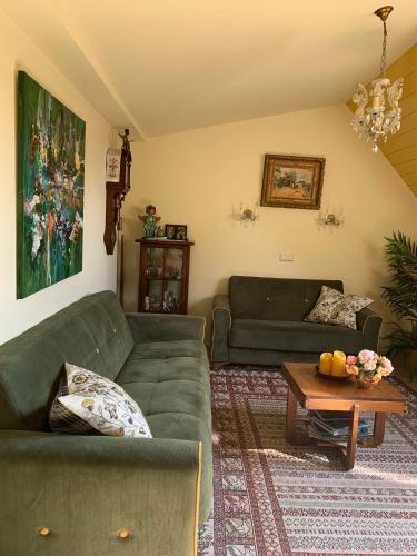 a living room with two green couches and a table at Olga Hoeve in Twisk