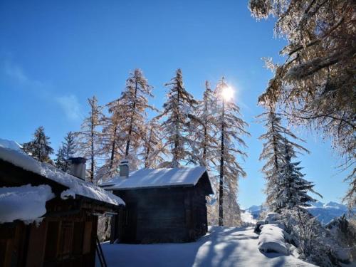 a cabin in the snow next to a group of trees at on a quiet location, beautiful, spacious holidayhouse, only for holidays, with a fantastic view, perfect for skiing, walking and hiking in Scheid