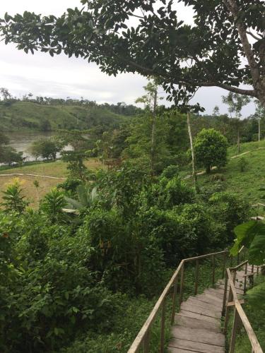 Landskap semula jadi dekat dengan lodge