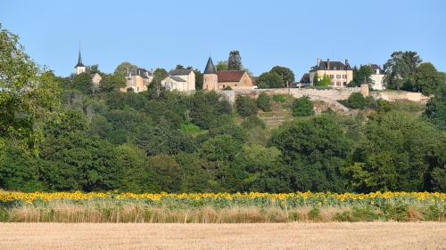 a group of houses on a hill with a field of flowers at Villa Champallement in Champallement