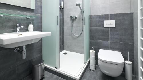 a bathroom with a shower and a toilet and a sink at Relax hotel Valaška in Horní Bečva