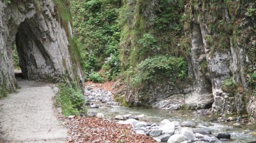 アパートメントの近くで見られる自然の景観