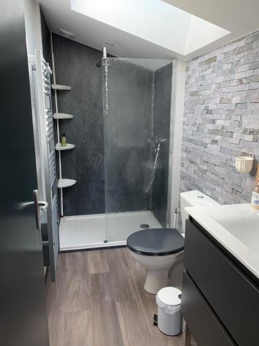 une salle de bain avec une douche, des toilettes et un lavabo dans l'établissement Domaine de Jarentin - Gite 4-5places, à Saint-Marcel-de-Félines