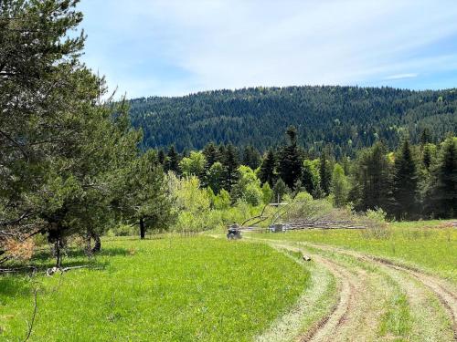 a dirt road in the middle of a field with trees at Rancho Resort in Bilichi