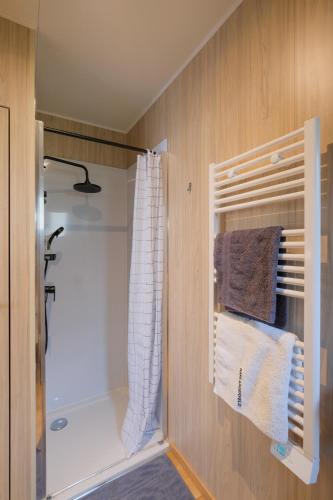 La salle de bains est pourvue d'une douche et d'un sèche-serviettes. dans l'établissement Les Suites d'Aliénor-Suite Mimosa, à Pessac