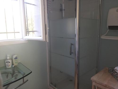 ein Bad mit einer Dusche und einem Waschbecken in der Unterkunft Rez de jardin cosy avec terrasse fleurie in Arles-sur-Tech