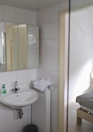 a bathroom with a sink and a mirror at Huinerhofje 2 - Vrijstaand met grote omheinde tuin, rust, privacy en nabij bossen in Putten
