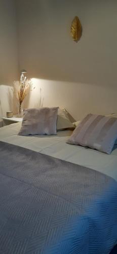 ein großes Bett mit zwei Kissen darüber in der Unterkunft Le Rohan in Colmar