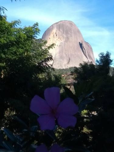 a purple flower in front of a mountain at Aromas da Pedra in Pedra Azul