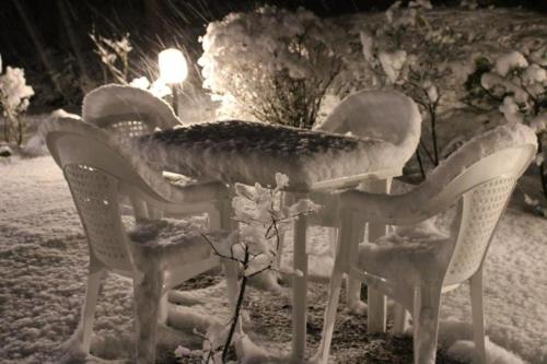 Le Conifere durante el invierno