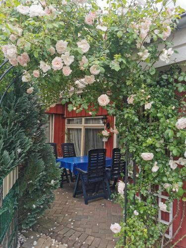 a blue table and chairs in a garden with roses at Finnenhaus in Neumünster