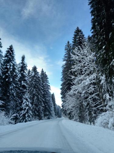 a road covered in snow with trees on it at Kuća za odmor-Kućica in Mrkopalj