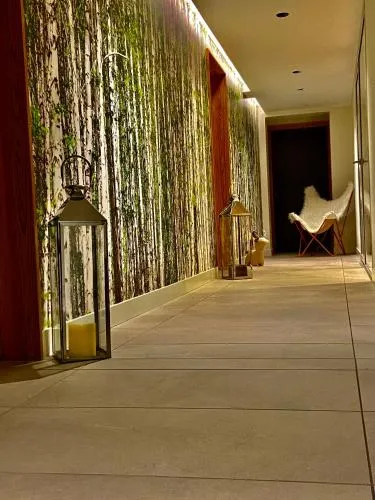 Chalet Pleine Vue & Spa photo 13