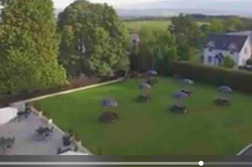 an aerial view of a yard with cows in the grass at Ryder Cup Lodge Duchally - Free access to Leisure Club Swimming Pool Hot Tub Steam Room - Starlink Satellite Internet - Sky Glass Now DOG FRIENDLY for 2025 in Auchterarder