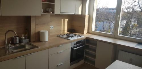 A kitchen or kitchenette at Apartament przy Katedrze