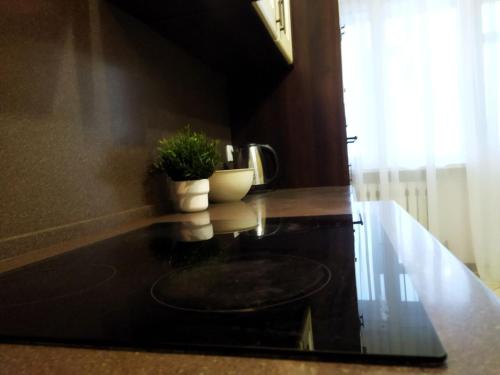 a kitchen with a counter top with a plant on it at Трехкомнатные апартаменты в центре Левого Берега г.Нур-султан in Astana