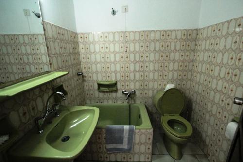 een badkamer met een groene wastafel en een toilet bij Hotel Platon in Faliraki