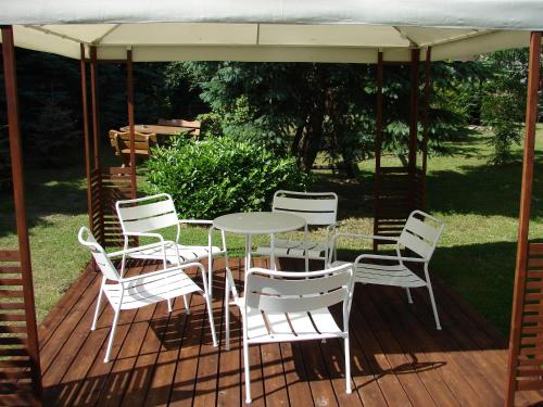 Zahrada ubytování WILLA MAGNOLIA - Apartamenty i Pokoje - ROWERY, POKÓJ ZABAW, KAWA Z EKSPRESU