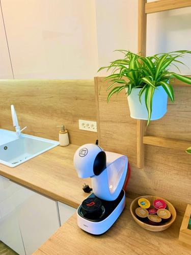 a kitchen counter with a juicer and a plant at Apartment Zen in Sveta Nedjelja