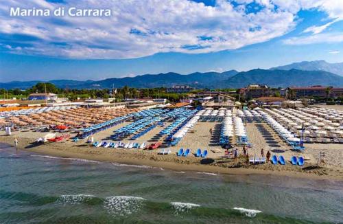 a beach with a bunch of umbrellas and chairs at LA CONCHIGLIA A MARINA in Marina di Carrara
