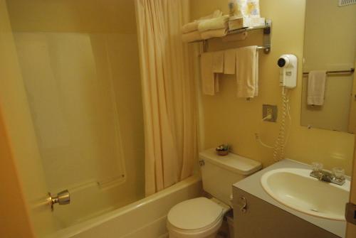 a bathroom with a toilet and a shower and a sink at Discovery Inn in Yellowknife