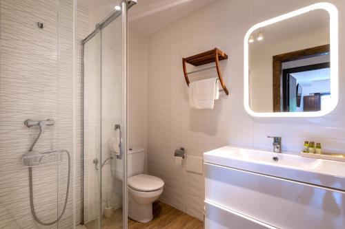 a bathroom with a shower and a toilet and a sink at Balcon del Pirineo Rural Ordesa in Buesa