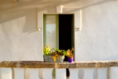 dos macetas en una cornisa delante de una puerta en I trulli della Masseria del Salento, en Maruggio