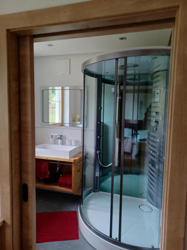 a glass shower in a bathroom with a sink at Chalet Petra in Aich
