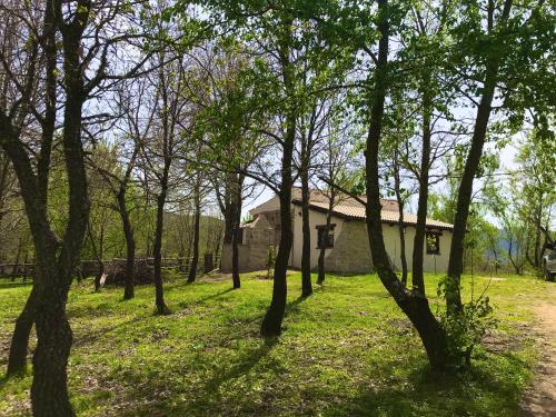 um grupo de árvores em frente a uma casa em Ovostolai Cottage em Fonni