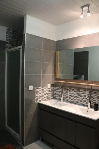 une salle de bain avec un lavabo et un miroir dans l'établissement Chambres et table d'hôtes Régord'âne, à Le Brignon