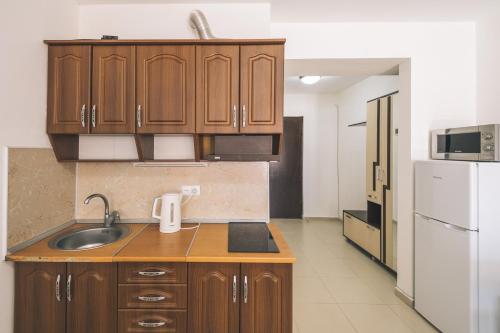 Η κουζίνα ή μικρή κουζίνα στο Gudauri Palace apartments in New Gudauri