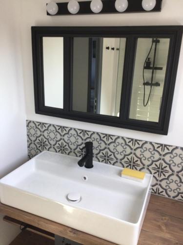 a bathroom with a white sink and a mirror at Gîte de la Fresnais in Epiniac