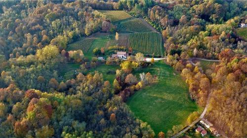 uma vista aérea de uma quinta com árvores e uma casa em La Valle em Nervesa della Battaglia