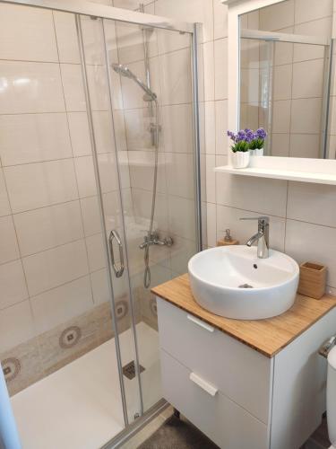 een badkamer met een wastafel en een douche bij Apartment Bianco Central in Sibiu