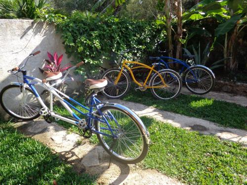 芒果之家住宿加早餐旅館或附近騎腳踏車